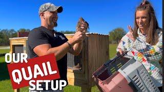 Homesteading With Quail: The Big Move!