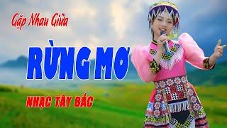 Gặp Nhau Giữa Rừng Mơ - Giọng Ca Nhạc Tây Bắc Thánh Thót Như Tiếng Chim Ca Cực Hay - Ngọc Khánh