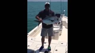 April Port Charlotte Fishing Report for Offshore Permit