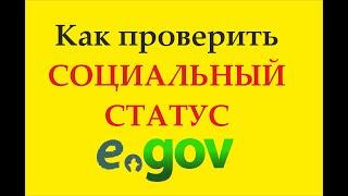 Проверка социального статуса в ЕГОВКЗ