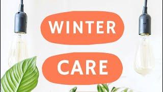 WINTER PLANT CARE ️