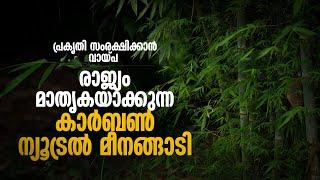 ക്ഷോഭിക്കുന്ന പ്രകൃതിക്ക് ഒരു നാടിന്റെ കൈത്താങ്ങ്; Carbon Neutrality | Meenangadi| Mathrubhumi.com