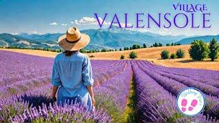 VALENSOLE: The Lavender Capitol of the World