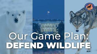 Our Game Plan: Defend Wildlife