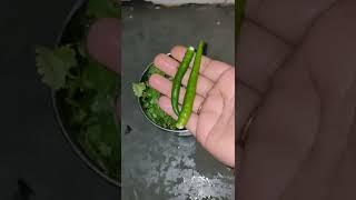 How to make pudina coriander chutney || pudina chutney recipe || mint leaves chutney