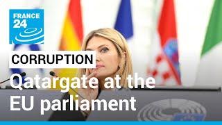 Qatargate at the EU parliament: Anti-corruption activists draw the battle lines • FRANCE 24