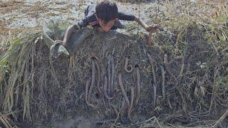 eel catching skills, The daily life of an orphan boy catching eels to cook porridge to eat and sell