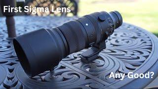 Sigma 150-600mm First Impressions