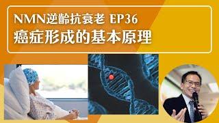 NMN 逆齡抗衰老系列 Ep36：癌症形成的基本原理 | 逆齡抗衰老⏪ | Dr. SAM