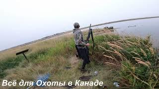 #"Снайпер" #зоркий #глаз в деле :) #гусь-терминатор. #Охота #осень #сезон #2020 4K.