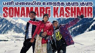 இந்த வெயில்ல சரியான இடம்️| SONAMARG KASHMIR | Akila Kannan Vlogs