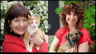 39. Enriching Feline Lives and Understanding Pet Behavior