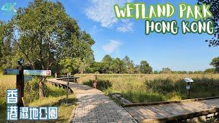 Hong Kong’s Massive 110,000 ft² Wetland Park: Nature’s Most Stunning Haven! | 4K WALKING TOUR