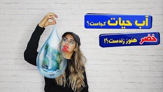 چشمه آب حیات یا اکسیر جوانی  چیه وکجاست؟ خضر، اسکندر و ذوالقرنین چشمه رو پیدا کردن و نامیرا شدن ؟!