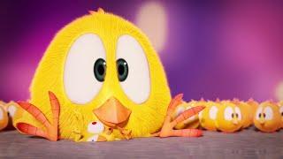 The world of Chicky | Where's Chicky? | Cartoon Collection in English for Kids | New episodes HD