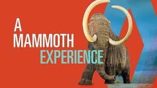 Royal BC Museum "Mammoth Experience" | TV SPOT