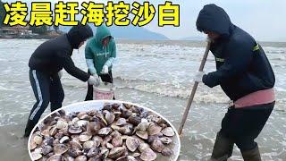 凌晨趕海遇大浪，卻遇上維哥獨自在挖沙白，一趟下來收穫滿大桶【漁小仙】