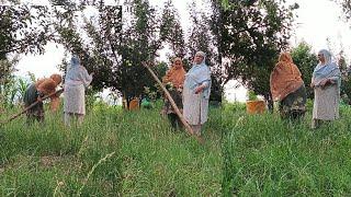 Aaj ki maine kheti badi bohat maza aaya@Siblingvlogs2023 #youtube #dailyvlog #viral #villagelife