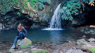 Azores Islands: Random trips and videos + Christmas season