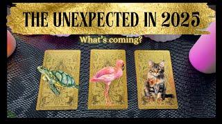  Pick A Card - The UNEXPECTED 2025