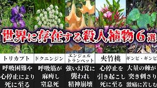 【ゆっくり解説】危険度MAX...世界に存在するヤバすぎる殺人植物６選