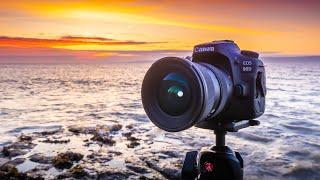 Canon 90D Real World Review | Nature Photography Edition