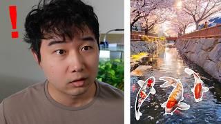 I found the MOST AESTHETIC Fishkeeping videos online | Fish Tank Review 277