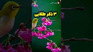 ذکر معجزه گر  /ذکرهای طلایی که معجزه میکنن  /رادیو آگاهی #shorts