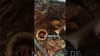 COMO IDENTIFICAR O COBRE NA RECICLAGEM? SURPREENDENTE!