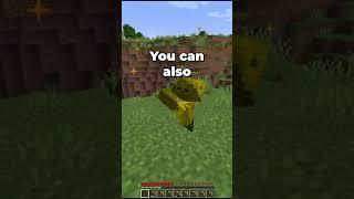 The Midas Origin Explained #minecraft #minecraftorigins