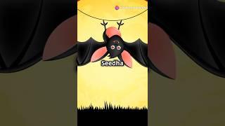 "Why Do Bats Hang Upside Down? | Fun Animal Fact!"