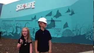 First Look Inside SEA LIFE Charlotte-Concord Aquarium