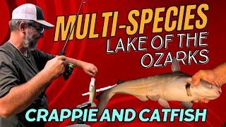 Fishing Lake of the Ozarks | Searching for Crappie Piles and Catfishing