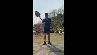 서울의찬가