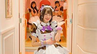 Visiting a Japanese Maid Cafe to Meet a Famous Maid | @Home Cafe AKIHABARA | Chimu