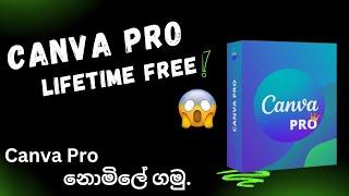 Canva Pro Free Sinhala | Using Canva Team Invite Link | Canva Pro නොමිලේ ගමු..