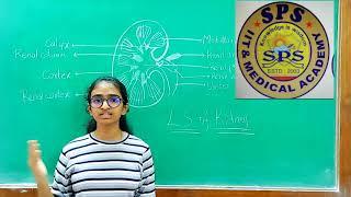 A Kavyamrutha, NEET Aspirant, SPS MEDICAL ACADEMY, Hyderabad