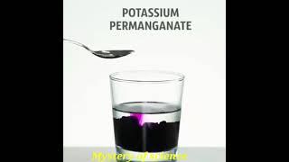 How make Elephant  toothpaste #short #mystery of science #chemistry experiment #science experiment