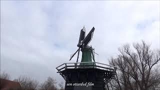 Joris Zandbergen laat ons molen de Windhond zien