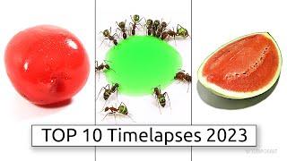 TEMPONAUT TOP 10 Timelapses 2023