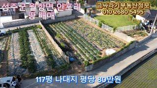 (40626) 성주군 월항면 안포리 나대지 매매 / 성주땅 , 전원주택지 매매 / 성주토지 매매 ( 117평 ) - [ 성주부동산 ]