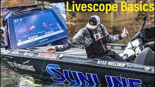 Actual Garmin Livescope Catching Bass (Livescope Screen Footage)