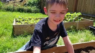 We Tried Gardening! / Weekday Family Vlog / June 2019