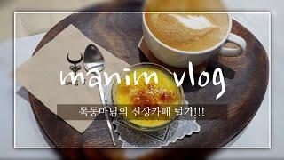 Visiting a new cafe~ 등촌동수플레카페vs목동크림브륄레카페 | 연못과 뒤뜰이 있는 일산야외카페 | 행주산성은 지금 코스모스가 한가득!! | manim vlog.64