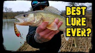 Best bait for walleye