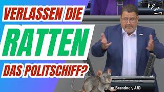 Verlassen die RATTEN schon das Politschiff?