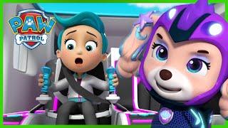 Tutte le zampe sul ponte - PAW Patrol I cuccioli Episodi Italiano