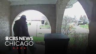 Suburban Chicago man catches porch pirate on Ring camera