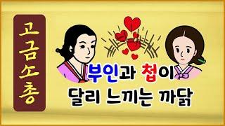 [고금소총 87] 부인과 첩이 달리 느끼는 까닭 [옛날이야기] [에피소드박스]