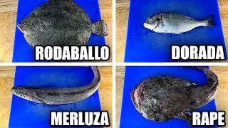 Guía Definitiva Para Limpiar Todo Tipo De Pescado